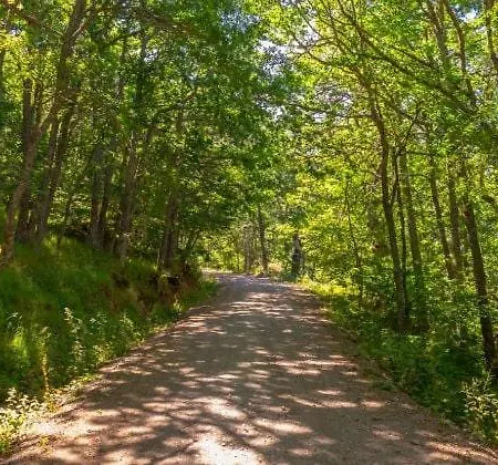 Tatil Evi Calderon I